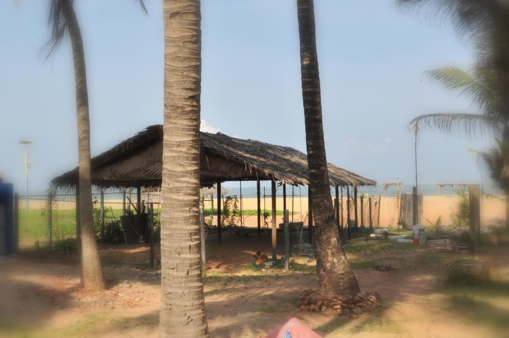 Tms Beach House ネゴンボ エクステリア 写真